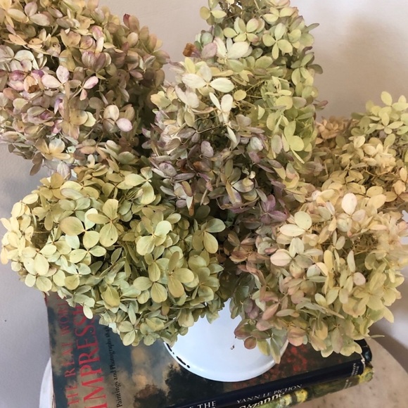 Accents Dried Hydrangea Bouquet Floral Bouquet Poshmark